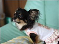 �}���������