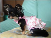 �}���������