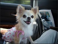 ���O�����