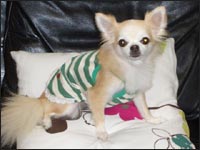 ���O�����