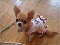 �߂������