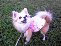 ���O�����