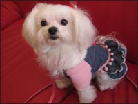 ���R�����