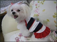 ���R�����