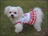 ���R�����