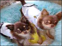 �܂ߌN&�ނ��N