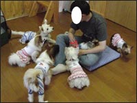 ���コ����