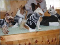 ���コ����