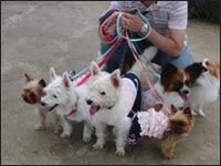 ���コ����