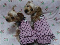 �܈��T����񁕊G�ڂ����