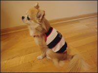 �|�������