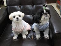 �Ղ�񂿂�񁕐Â����