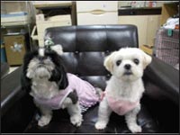 �Â���񁕂Ղ�񂿂��