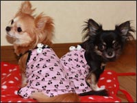 ��񂿂�񁕂邫�������