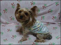 �������N