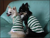 �͂Ȃ���񁕃����N