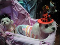 ���[�K�����&�}���[�����