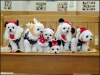 RIKU�N&KAI�N&RIKA�����&MELL�����&SORA�N&MOCA�����