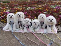 SORA�N&MOCA�����&RIKA�����&KAI�N&MELL�����&RIKU�N