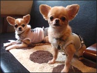 �̂��݌N���Z�i�N