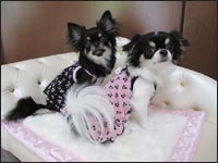 �T�X�P�N���݂�݂����