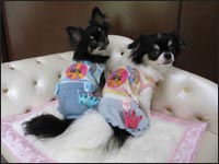 �T�X�P�N���݂�݂����