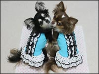 �A���X����񁕂���炿���