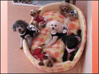 �`�b�`���