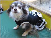 �`�b�`�����