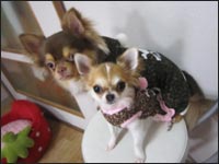 �`���R���N���L���������