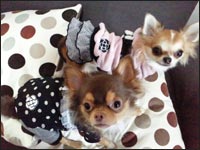 �`���R���N���L���������