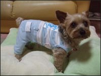 �V���R���N