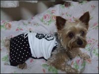 �V���R���N