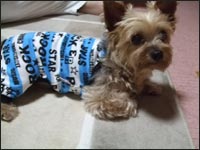 �V���R���N