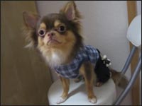 �`���R���N