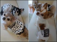 ����񂿂�񁕂͂ȌN������N