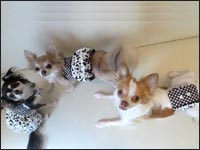 ����񂿂�񁕂͂ȌN������N