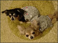 ����񂿂�񁕂͂ȌN