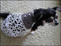 ����񂿂��