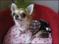 �L���������