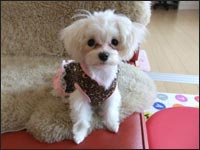 ���Ƃ����