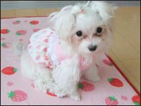 ���Ƃ����