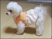 ���Ƃ����