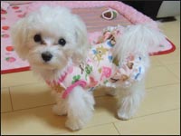 ���Ƃ����