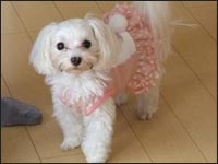 ���Ƃ����