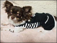 LEROY�����