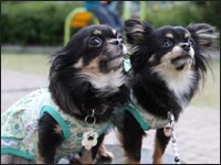 �}��������񁕂邫�������