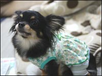 �}���������