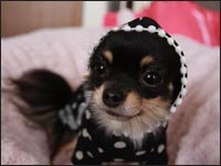 �}���������