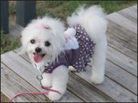 �~������